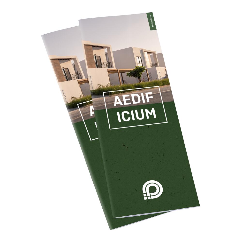 100 Brochures DL - 8 pages
