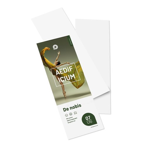 Flyers, Encart pour DL, impression recto seul 2