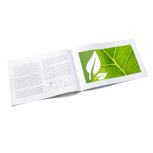Brochure en papier naturel avec plusieurs pages et reliure agrafe.
