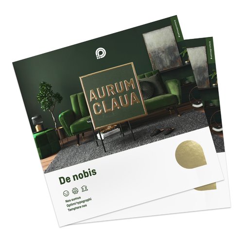 Cartes pliantes en papier avec estampage  chaud en option.