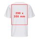 T-shirt blanc en coton avec manches courtes et col rond, coupe unisexe.