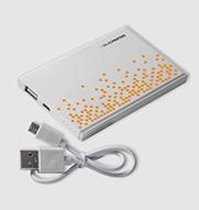Power bank Pineville