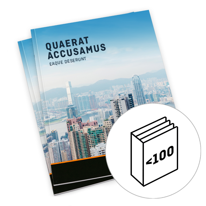 Catalogues (petit tirage)