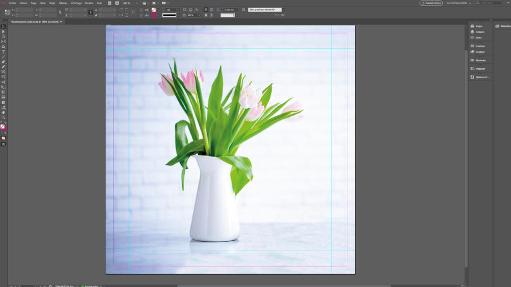 Un vase blanc contient des tulipes roses aux longues feuilles vertes, sur fond de mur de briques blanches flou. L'image, réalisée avec précision par découpe du contour, s'affiche dans l'interface d'un logiciel de conception, avec des outils et des options autour de l'espace de travail.