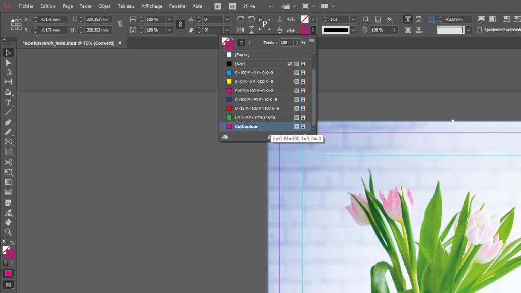 Capture d'écran d'un espace de travail Adobe InDesign montrant un document avec un vase de tulipes roses sur fond clair. Le panneau Nuancier est ouvert, affichant différents échantillons de couleurs, mettant en évidence l'option « Découpe du contour ». Les options du menu sont en français.