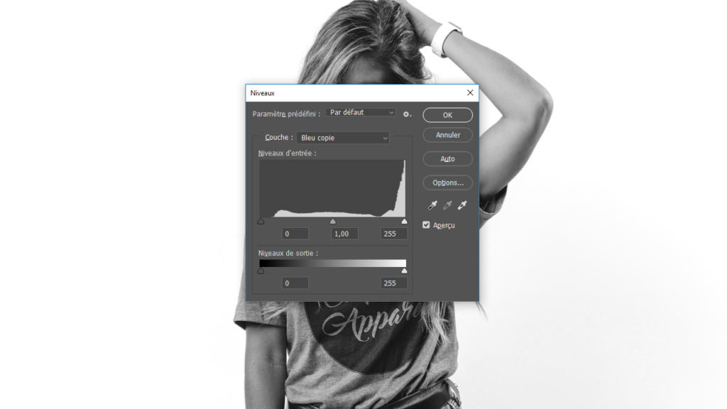 Image en niveaux de gris d'une personne aux cheveux longs, semblant contempler les subtilités de ses cheveux détournés. Au premier plan se trouve une boîte de dialogue de réglage des niveaux Photoshop affichant le graphique des canaux bleus. La personne porte un t-shirt dont le texte est partiellement visible.
