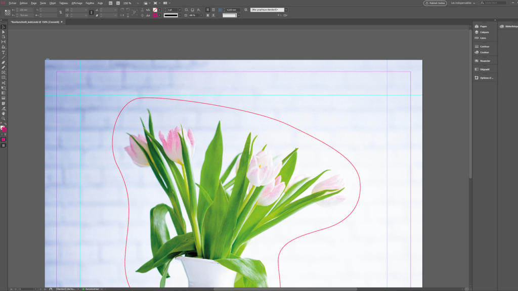 Capture d'écran de l'interface d'un logiciel de conception affichant une image de tulipes roses dans un vase blanc. Un contour rouge clair, probablement destiné à la découpe du contour ou à la sélection, met en valeur les fleurs. La page est partiellement visible, avec des barres d'outils en haut et sur les côtés.