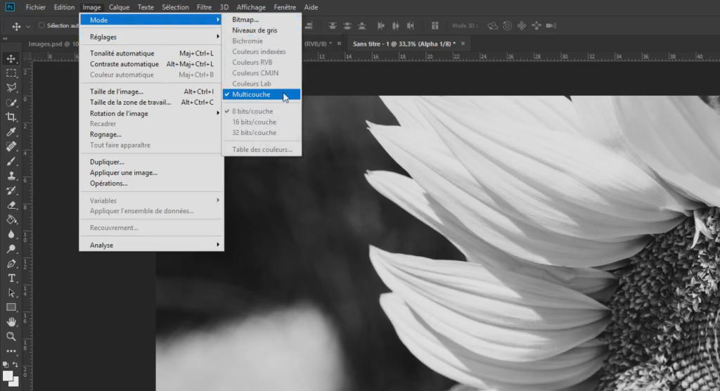 Gros plan sur la fenêtre d'un logiciel de retouche photo noir et blanc affichant une fleur. Le menu répertorie les modes de couleur, avec l'option Multicanal en surbrillance. L'interface présente diverses options d'outils au-dessus de l'image de la fleur.