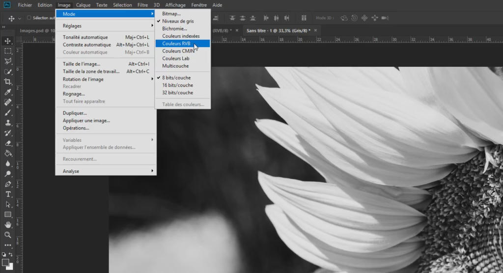 Une image noir et blanc de l'interface Photoshop présente un gros plan de pétales de tournesol à droite. Le menu est ouvert et propose des paramètres de couleur comme Couches RVB et Couleurs Lab.