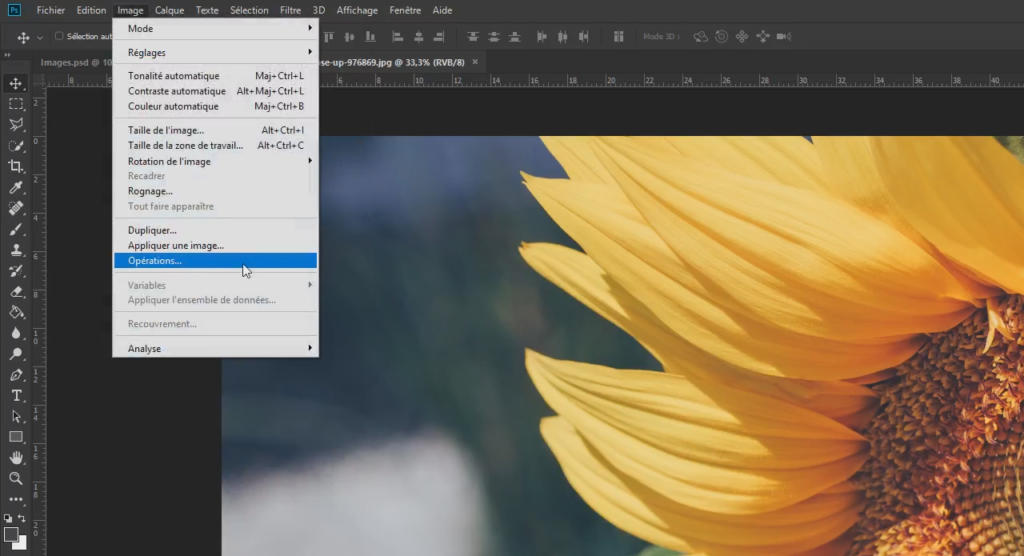 Gros plan sur un écran d'ordinateur affichant un logiciel de retouche d'image noir et blanc, avec une photo de pétale de tournesol à droite. La barre de menu ouverte met en avant l'option « Faire pivoter l'image », invitant les utilisateurs à explorer leurs possibilités créatives.