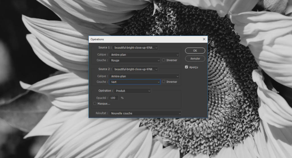 Un gros plan noir et blanc d'un tournesol est superposé à une fenêtre d'options logicielles. Cette fenêtre affiche divers paramètres, tels que les calques sources et les options de couleur, en français.