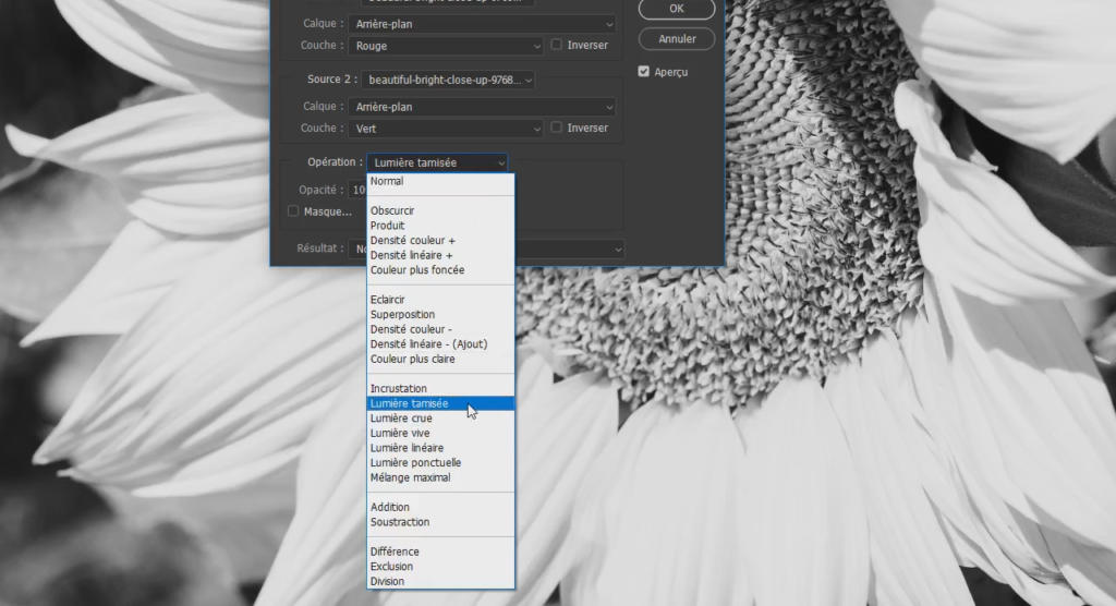 L'image noir et blanc d'un tournesol en arrière-plan contraste avec la fenêtre d'un logiciel de retouche numérique ouvert au premier plan. Le logiciel affiche les options de mode de fusion en français, et Lumière tamisée est mise en évidence.
