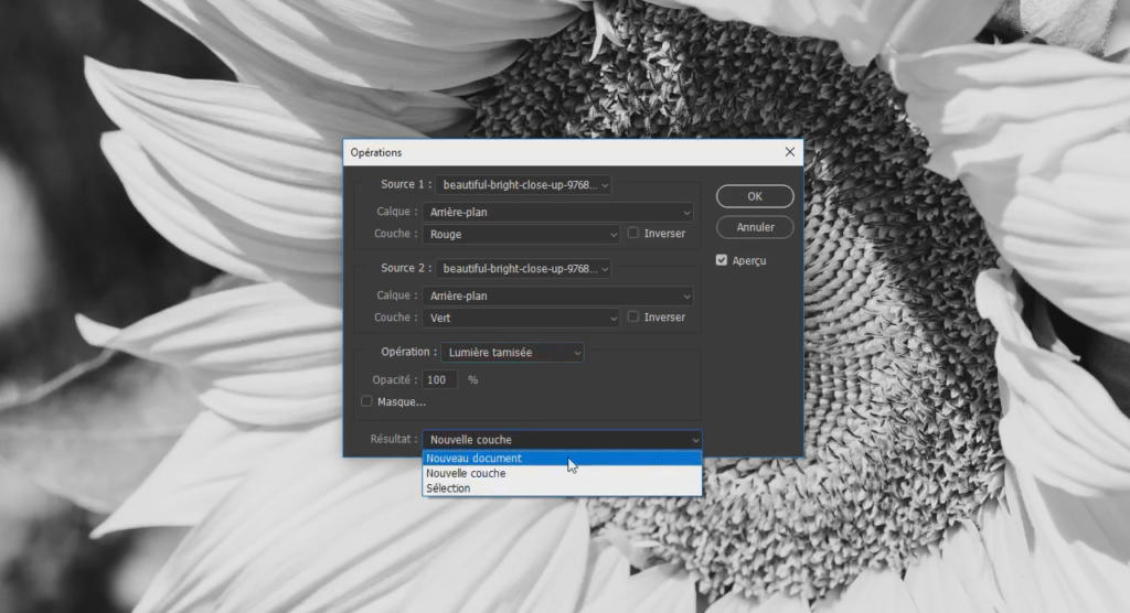 Un gros plan noir et blanc d'un tournesol forme l'arrière-plan. Au premier plan, une capture d'écran de l'interface d'un logiciel présente diverses options de traitement d'image, notamment les sources, les paramètres et un menu déroulant.