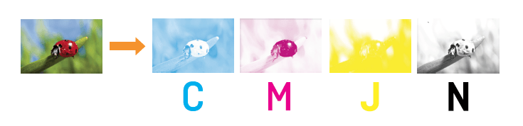 Un processus en cinq étapes révèle la séparation des couleurs d'une coccinelle sur une feuille. Les étapes, notées C, M, J et N de gauche à droite, mettent en valeur la couleur complète ainsi que les séparations cyan, magenta, jaune et noir, reflétant la précision de la visite-atelier-de-production-offset.