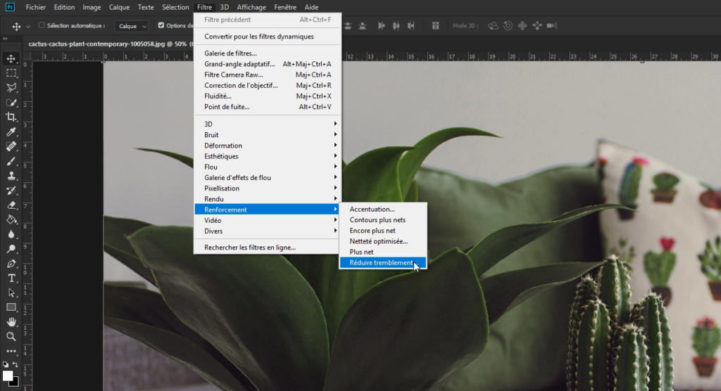 Un écran d'ordinateur affiche Photoshop avec un menu ouvert pour les options de renforcement utilisant la technique du filtre passe-haut. En arrière-plan, une plante succulente est visible, légèrement floue.