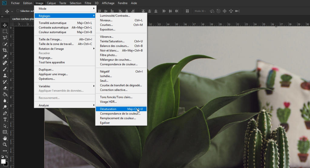 Un écran d'ordinateur présentant un logiciel de retouche photo avec un menu ouvert ; les options incluent les réglages de luminosité, de contraste et de couleur. Un filtre passe-haut permet de visualiser les sélections. Une plante est partiellement visible en arrière-plan.