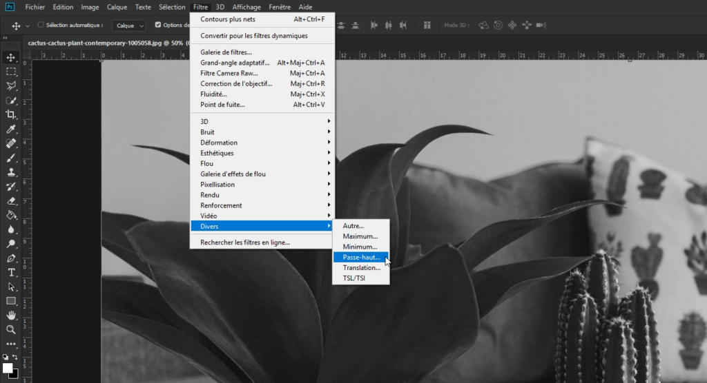 Gros plan sur un écran d'ordinateur affichant une photo de succulente en noir et blanc dans Photoshop. Le menu Filtres est ouvert et propose des options comme 3D, Flou et Divers, mettant en valeur le filtre « passe-haut ».