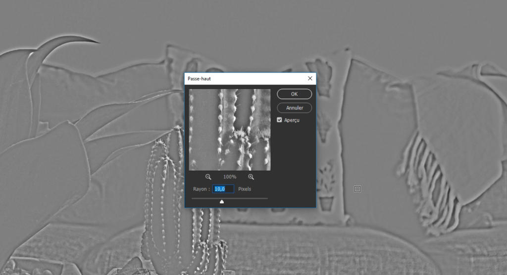 Une image en niveaux de gris affiche un écran numérique présentant une vue agrandie d'un cactus grâce à un filtre passe-haut dans la fenêtre du logiciel. L'arrière-plan présente un canapé avec des coussins et une plante, le tout rendu en relief.