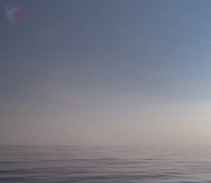 Un cinémagraphe paisible capture les vagues calmes de l'océan sous un ciel bleu clair. L'horizon est à peine visible, se fondant harmonieusement dans le ciel, créant une atmosphère sereine et paisible.