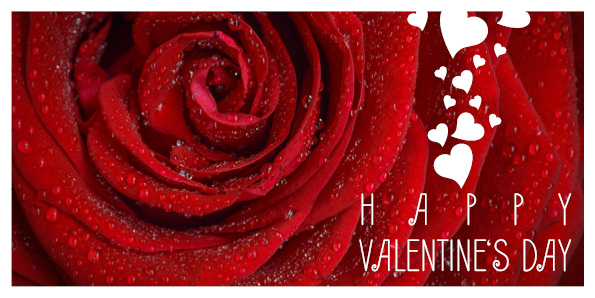 Gros plan sur une rose rouge ornée de gouttes d'eau. À droite, l'inscription « Joyeuse Saint-Valentin » est blanche, surmontée de petits cœurs blancs. Inspirez-vous de ce motif classique de la Saint-Valentin en explorant les modèles Saint Valentin.