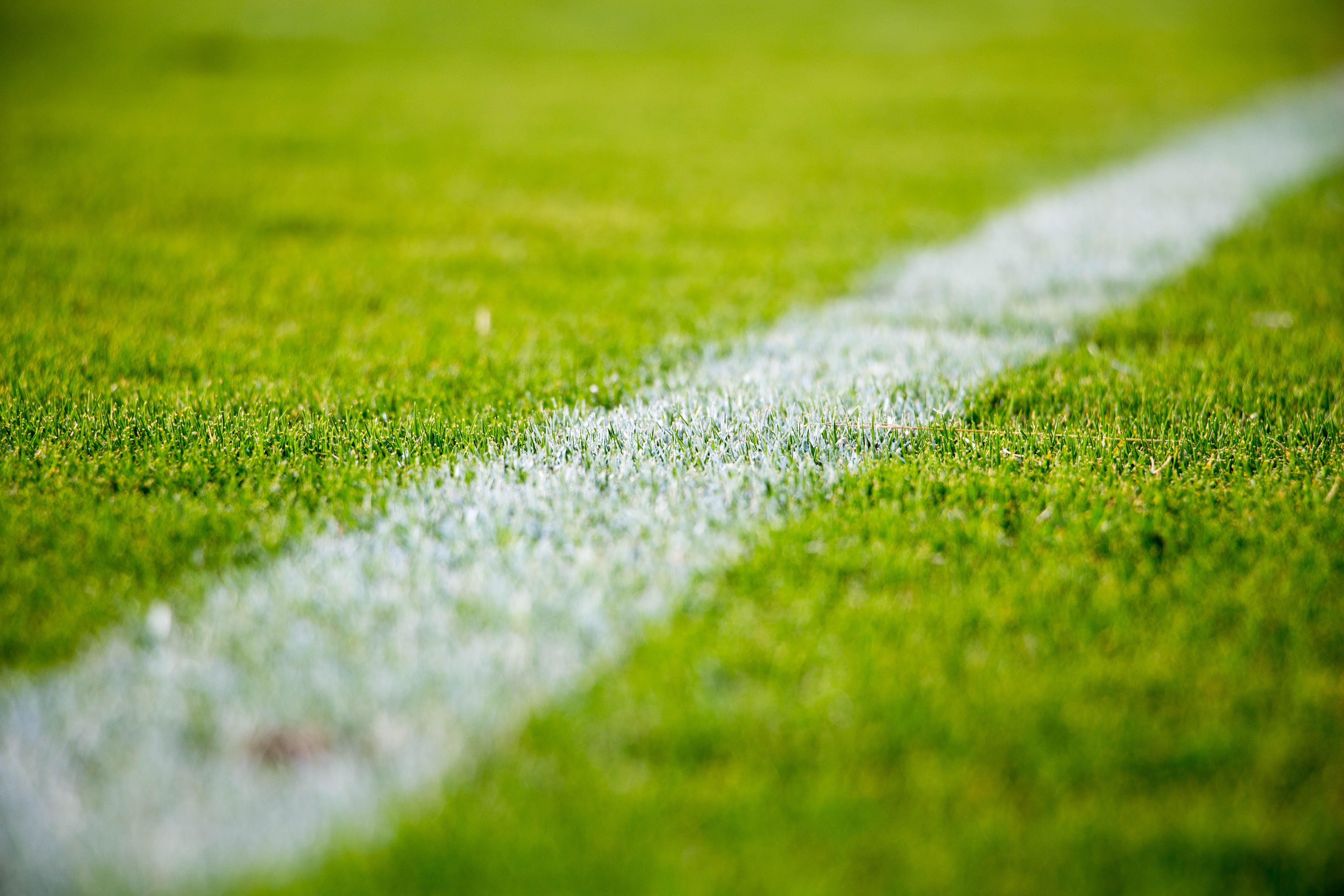Gros plan d'une ligne blanche sur une herbe verte éclatante, marquant la limite d'un terrain de sport : idéal pour planifier vos prochaines tactiques, comme dans le Spielplan de l'EM 2021. L'angle et la faible profondeur de champ mettent en valeur la texture et le contraste saisissants des couleurs.