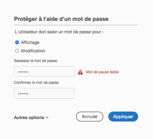 Une boîte de dialogue intitulée « Protéger à l'aide d'un mot de passe » demande un mot de passe pour sécuriser ou crypter les fichiers PDF pour « Affichage » ou « Modification ». Le mot de passe saisi est marqué comme faible et vous pouvez sélectionner les boutons « Annuler » ou « Appliquer ».