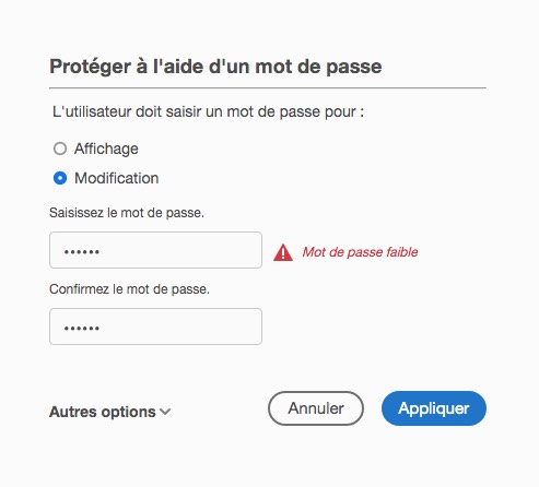 Capture d'écran d'une interface de configuration de protection par mot de passe en français, possiblement pour chiffrer des fichiers PDF. Elle comprend des options « Affichage » ou « Modification » avec des boutons radio. Les champs de saisie du mot de passe affichent un avertissement de mot de passe faible. Les boutons « Annuler » et « Appliquer » se trouvent en bas.