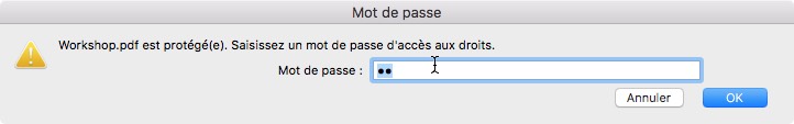 Une fenêtre de demande de mot de passe pour le PDF chiffré « Atelier.pdf » s'affiche en français. Elle demande un mot de passe pour l'accès, avec des champs pour saisir le mot de passe et des options pour « Annuler » ou « OK ».