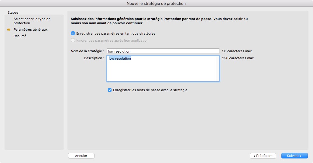 Une capture d'écran de l'interface d'un logiciel en français montre un formulaire permettant de créer une nouvelle stratégie de protection par mot de passe, avec des champs remplis en « basse résolution ». Les options incluent « Précédent » et « Suivant ». Cet outil peut également vous aider à chiffrer facilement des documents PDF.