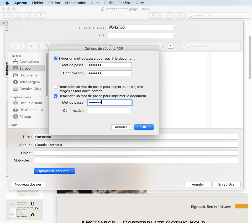 Capture d'écran d'une boîte de dialogue macOS affichant les options de sécurité d'un fichier PDF crypté. La fenêtre affiche des champs de mot de passe pour l'ouverture et la modification du document. L'arrière-plan présente un explorateur de fichiers et une vue partielle d'un document PDF.