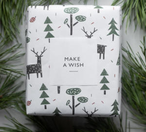 Un cadeau emballé dans du papier blanc décoré d'arbres verts et de cerfs. L'étiquette sur le paquet indique « Fais un vœu ». Il est entouré de branches de pin.